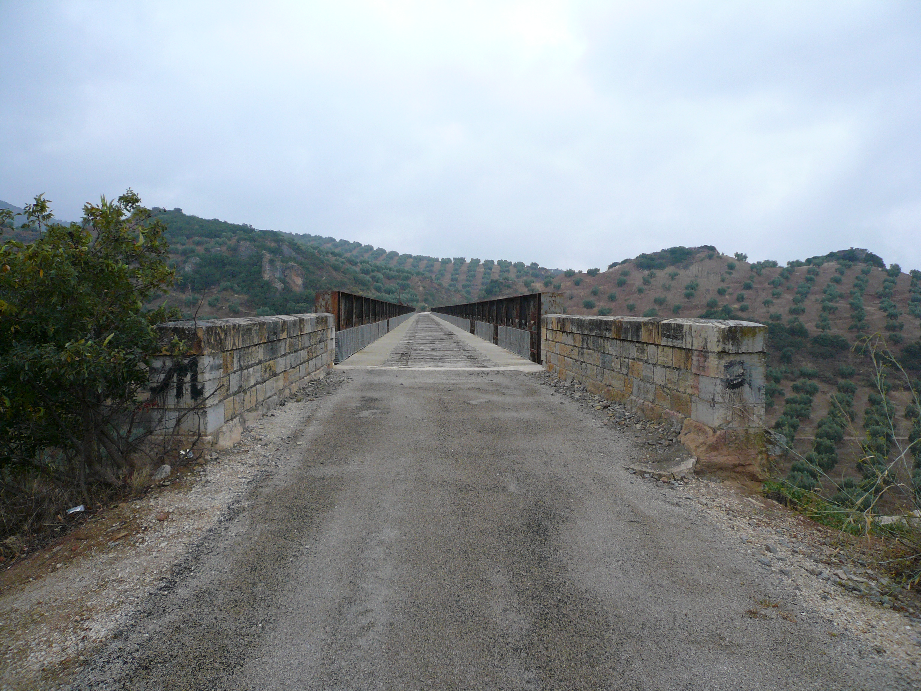 Viaducto del Arroyo del Salado