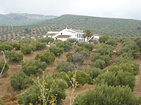 Cortijo típico de la zona