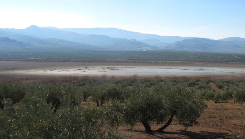 Laguna del Salobral