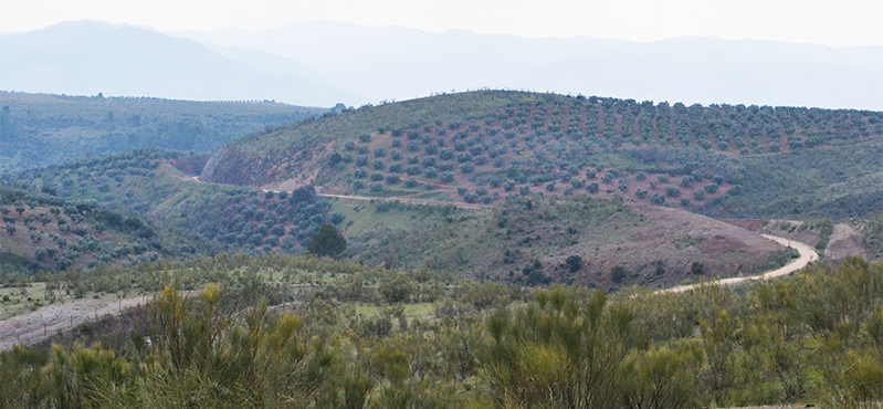 Camino Natural Vía Verde de Segura. Tramo Arroyo del Ojanco - Límite provincial